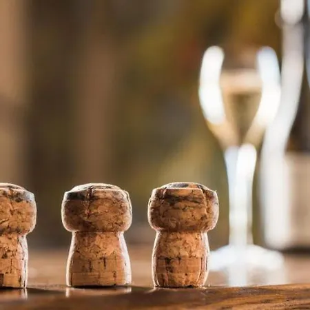 Les Deux Delices Tatil Evi *